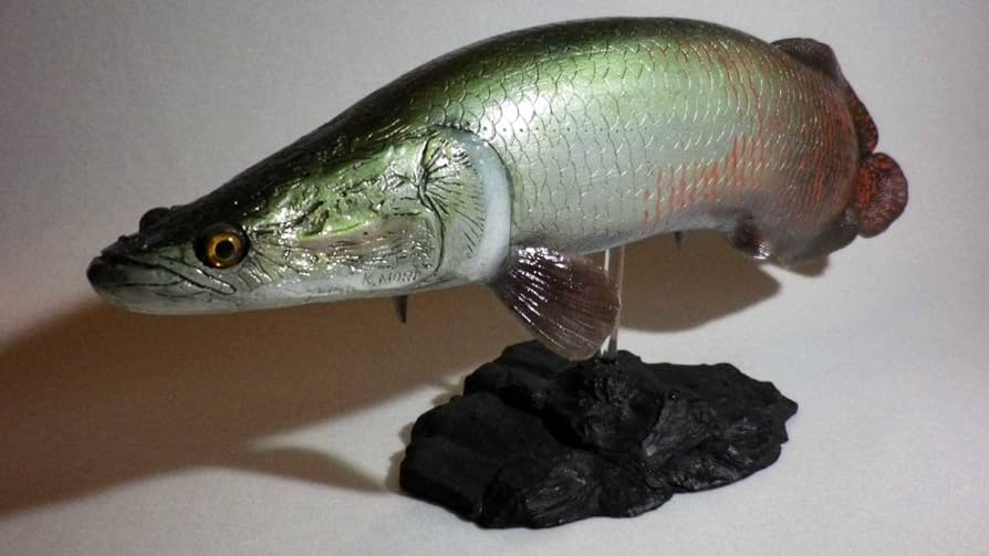Amazon | 古代魚 ピラルク フィギュア FRP製 特大サイズ